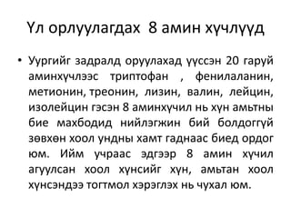 Үл орлуулагдах 8 амин хүчлүүд
• Уургийг задралд оруулахад үүссэн 20 гаруй
аминхүчлээс триптофан , фенилаланин,
метионин, треонин, лизин, валин, лейцин,
изолейцин гэсэн 8 аминхүчил нь хүн амьтны
бие махбодид нийлэгжин бий болдоггүй
зөвхөн хоол ундны хамт гаднаас биед ордог
юм. Ийм учраас эдгээр 8 амин хүчил
агуулсан хоол хүнсийг хүн, амьтан хоол
хүнсэндээ тогтмол хэрэглэх нь чухал юм.
 