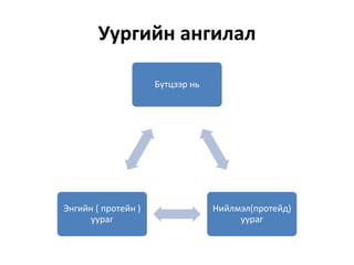 Уургийн ангилал
Бүтцээр нь
Нийлмэл(протейд)
уураг
Энгийн ( протейн )
уураг
 