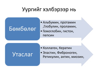 Уургийг хэлбэрээр нь
• Альбумин, протамин
,Глобулин, проламин,
• Гемоглобин, гистон,
пепсин
Бөмбөлөг
• Коллаген, Кератин
• Эластин, Фиброноген,
Ретикулин, актин, миозин,Утаслаг
 
