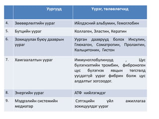 Уургууд Үүрэг, төлөөлөгчид
4. Зөөвөрлөлтийн уураг Ийлдэсний альбумин, Гемоглобин
5. Бүтцийн уураг Коллаген, Эластин, Кератин
6. Зохицуулах буюу дааврын
уураг
Уурган дааврууд болох Инсулин,
Глюкагон, Соматропин, Пролактин,
Кальцитонин, Гистон
7. Хамгаалалтын уураг Иммуноглобулинууд , Цус
бүлэгнэлтийн тромбин, фиброноген
цус бүлэгнэх явцын төгсгөлд
уусдаггүй уураг фибрин болж цус
алдалтыг зогсоодог.
8. Энергийн уураг АТФ нийлэгждэг
9. Мэдрэлийн системийн
медиатар
Сэтгэцийн үйл ажиллагаа
зохицуулдаг уураг
 