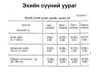 Эхийн сүүний уураг
 