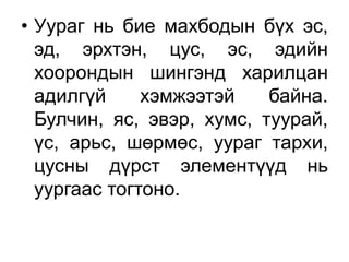 • Уураг нь бие махбодын бүх эс,
эд, эрхтэн, цус, эс, эдийн
хоорондын шингэнд харилцан
адилгүй хэмжээтэй байна.
Булчин, яс, эвэр, хумс, туурай,
үс, арьс, шөрмөс, уураг тархи,
цусны дүрст элементүүд нь
уургаас тогтоно.
 