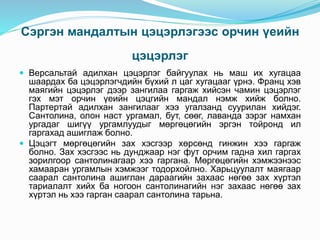 Сэргэн мандалтын цэцэрлэгээс орчин үеийн
цэцэрлэг
 Версальтай адилхан цэцэрлэг байгуулах нь маш их хугацаа
шаардах ба цэцэрлэгчдийн бүхий л цаг хугацааг үрнэ. Франц хэв
маягийн цэцэрлэг дээр зангилаа гаргаж хийсэн чамин цэцэрлэг
гэх мэт орчин үеийн цэцгийн мандал нэмж хийж болно.
Партертай адилхан зангилааг хээ угалзанд суурилан хийдэг.
Сантолина, олон наст ургамал, бут, сөөг, лаванда зэрэг намхан
ургадаг шигүү ургамлуудыг мөргөцөгийн эргэн тойронд ил
гаргахад ашиглаж болно.
 Цэцэгт мөргөцөгийн зах хэсгээр хөрсөнд гинжин хээ гаргаж
болно. Зах хэсгээс нь дунджаар нэг фут орчим гадна хил гаргах
зорилгоор сантолинагаар хээ гаргана. Мөргөцөгийн хэмжээнээс
хамааран ургамлын хэмжээг тодорхойлно. Харьцуулалт маягаар
саарал сантолина ашиглан дараагийн захаас нөгөө зах хүртэл
тариалалт хийх ба ногоон сантолинагийн нэг захаас нөгөө зах
хүртэл нь хээ гарган саарал сантолина тарьна.
 