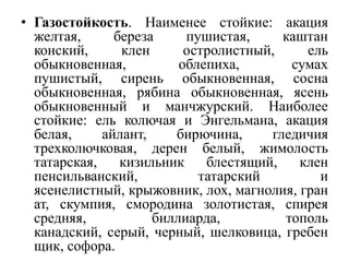 • Газостойкость. Наименее стойкие: акация
желтая,
береза
пушистая,
каштан
конский,
клен
остролистный,
ель
обыкновенная,
облепиха,
сумах
пушистый, сирень обыкновенная, сосна
обыкновенная, рябина обыкновенная, ясень
обыкновенный и манчжурский. Наиболее
стойкие: ель колючая и Энгельмана, акация
белая,
айлант,
бирючина,
гледичия
трехколючковая, дерен белый, жимолость
татарская,
кизильник
блестящий,
клен
пенсильванский,
татарский
и
ясенелистный, крыжовник, лох, магнолия, гран
ат, скумпия, смородина золотистая, спирея
средняя,
биллиарда,
тополь
канадский, серый, черный, шелковица, гребен
щик, софора.

 