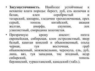 • Засухоусточивостъ. Наиболее устойчивые к
нехватке влаги породы: берест, дуб, ель колючая и
белая,
клен
серебристый
и
татарский, кипарис, гледичия трехколючковая, орех
серый,
тополь
китайский,
акация
желтая,
аморфа,
скумпия,
лох
узколистный, смородина золотистая.
• Прозрачную
крону
имеют:
пихта
европейская, сибирская, клен остролистный, явор
белый, каштан конский и обыкновенный, ольха
черная,
туя
восточная,
граб
обыкновенный, можжевельник, черемуха, ель, дуб,
липа, вяз, туя западная, тис ягодный, кедр
сибирский,
тополь
берлинский, туркестанский, канадский (табл.).

 