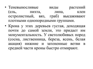 • Теневыносливые
виды
растений
(ель,
пихта,
липа,
клен
остролистный, вяз, граб) высаживают
плотными однопородными группами.
• Крона у этих деревьев густая, доходящая
почти до самой земли, это придает им
монументальность. У светолюбивых пород
(сосна, лиственница, береза, ясень, белая
акация) нижние и затененные ветви в
средней части кроны быстро отмирают.

 