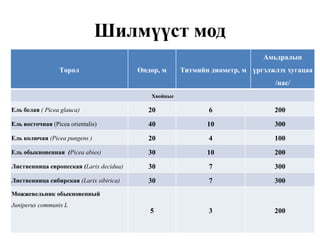 Шилмүүст мод
Амьдралын
Төрөл

Өндөр, м

Титмийн диаметр, м үргэлжлэх хугацаа
/нас/

Хвойные

Ель белая ( Picea glauca)

20

6

200

Ель восточная (Picea orientalis)

40

10

300

Ель колючая (Picea pungens )

20

4

100

Ель обыкновенная (Picea abies)

30

10

200

Лиственница европеская (Larix decidua)

30

7

300

Лиственница сибирская (Larix sibirica)

30

7

300

5

3

200

Можжевельник обыкновенный
Juniperus communis L

 