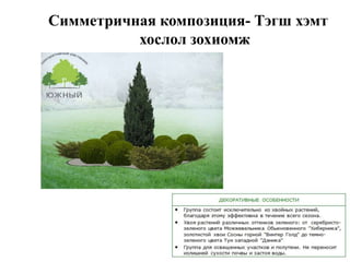 Симметричная композиция- Тэгш хэмт
хослол зохиомж

 