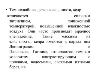 • Темнохвойные деревья ель, пихта, кедр
отличаются
сильным
затенением,
пониженной
температурой, повышенной влажностью
воздуха. Они часто производят мрачное
впечатление.
Такие
массивы
из
ели, пихты, кедра имеются в парках под
Ленинградом
—
в
Павловске, Гатчине, отличаются темным
колоритом,
контрастирующим
с
полянами, водоемами, светлыми пятнами
берез, ив.

 