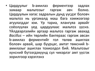 • Цардуулыг b-амилаз ферментээр задлах
замаар мальтозыг гаргаж авч болно.
Цардуулын хагас задралын дүнд үүсдэг боловч
мальтоз нь ургамалд маш бага хэмжээгээр
агуулагддаг юм. Үр тариа, ялангуяа арвайг
соёолуулах үед цардуулаас мальтоз үүснэ.
Үйлдвэрлэлийн аргаар мальтоз гаргаж авахад
Bacillus – ийн төрлийн бактераас гаргаж авсан
b-амилаз ферментийг гол төлөв ашиглах
боловч арвай, шар буурцаг, амтат төмсний b-
амилазыг ашиглах тохиолдол бий. Мальтозыг
хүнсний бүтээгдэхүүнд сул чихэрлэг амт үүсгэх
зорилгоор хэрэглэнэ
 