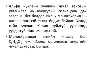 • Альфа нуклейн хүчлийн чухал генозын
уламжлал нь нүүрсусны солилцоон дах
завсрын бүт болдог. Ихэнх моносахарид нь
цагаан өнгөтэй талст бодис байдаг. Усанд
сайн уусдаг. Харин туйлгүй уусгагчид
уусдаггүй. Чихэрлэг амттай.
• Моносхаридын энгийн жишээ бол
С6Н12О6 юм. Ихэнх организмд энергийн
чухал эх үүсвэр болдог.
 