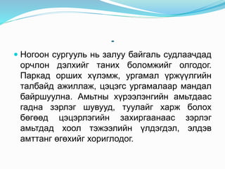 -
 Ногоон сургууль нь залуу байгаль судлаачдад
орчлон дэлхийг таних боломжийг олгодог.
Паркад орших хүлэмж, ургамал үржүүлгийн
талбайд ажиллаж, цэцэгс ургамалаар мандал
байршуулна. Амьтны хүрээлэнгийн амьтдаас
гадна зэрлэг шувууд, туулайг харж болох
бөгөөд цэцэрлэгийн захиргаанаас зэрлэг
амьтдад хоол тэжээлийн үлдэгдэл, элдэв
амттанг өгөхийг хориглодог.
 