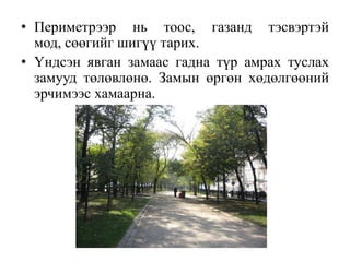 • Периметрээр нь тоос, газанд тэсвэртэй
мод, сөөгийг шигүү тарих.
• Үндсэн явган замаас гадна түр амрах туслах
замууд төлөвлөнө. Замын өргөн хөдөлгөөний
эрчимээс хамаарна.

 