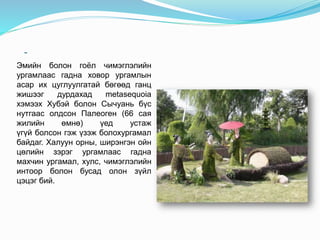 -
Эмийн болон гоёл чимэглэлийн
ургамлаас гадна ховор ургамлын
асар их цуглуулгатай бөгөөд ганц
жишээг дурдахад metasequoia
хэмээх Хубэй болон Сычуань бүс
нутгаас олдсон Палеоген (66 сая
жилийн өмнө) үед устаж
үгүй ​​болсон гэж үзэж болохургамал
байдаг. Халуун орны, ширэнгэн ойн
цөлийн зэрэг ургамлаас гадна
махчин ургамал, хулс, чимэглэлийн
интоор болон бусад олон зүйл
цэцэг бий.
 