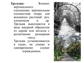 Трельяж:
Элемент
вертикального
озеленения; вертикальная
плоскостная опора для
вьющихся растений: роз,
клематисов
и
др.
Трельяж выполняется в
виде ажурной обрешетки
из дерева или металла с
различными
размерами
гнезд.
Трельяж устанавливается
в садах, на улицах и
одновременно
служат
ограждением.

 