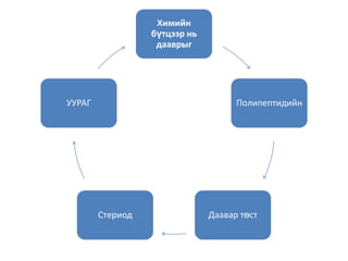 Химийн
бүтцээр нь
дааврыг

УУРАГ

Полипептидийн

Стериод

Даавар төст

 
