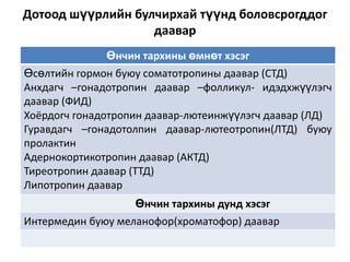 Дотоод шүүрлийн булчирхай түүнд боловсрогддог
даавар
Өнчин тархины өмнөт хэсэг
Өсөлтийн гормон буюу соматотропины даавар (СТД)
Анхдагч –гонадотропин даавар –фолликул- идэдхжүүлэгч
даавар (ФИД)
Хоёрдогч гонадотропин даавар-лютеинжүүлэгч даавар (ЛД)
Гуравдагч –гонадотолпин даавар-лютеотропин(ЛТД) буюу
пролактин
Адернокортикотропин даавар (АКТД)
Тиреотропин даавар (ТТД)
Липотропин даавар
Өнчин тархины дунд хэсэг

Интермедин буюу меланофор(хроматофор) даавар

 