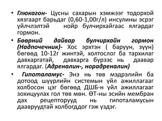 • Глюкагон- Цусны сахарын хэмжээг тодорхой
хязгаарт барьдаг (0,60-1,00г/л) инсулины эсрэг
үйлчлэлтэй нойр булчирхайгаас ялгардаг
гормон.
• Бөөрний дайвар булчирхайн гормон
(Надпочечник)- Хос эрхтэн ( баруун, зүүн)
бөгөөд 10-12г жинтэй, холтослог ба тархилаг
давхаргатай, давхарга бүрээс нь даавар
ялгардаг. (Адреналин-, норадреналин)
• Гипоталамус- Энэ нь төв мэдрэлийн ба
дотоод шүүрлийн системын үйл ажиллагааг
холбосон цэг бөгөөд ДШБ-н үйл ажиллагааг
зохицуулах гол төв мөн. ӨТ-ны эсийн мембран
дах рецепторууд нь гипоталамусын
даавруудтай холбогддог гэж үздэг.
 
