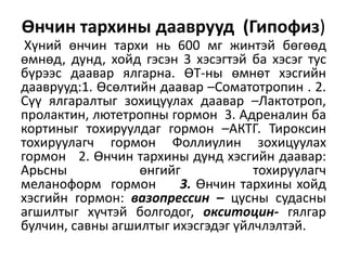 Өнчин тархины дааврууд (Гипофиз)
Хүний өнчин тархи нь 600 мг жинтэй бөгөөд
өмнөд, дунд, хойд гэсэн 3 хэсэгтэй ба хэсэг тус
бүрээс даавар ялгарна. ӨТ-ны өмнөт хэсгийн
дааврууд:1. Өсөлтийн даавар –Соматотропин . 2.
Сүү ялгаралтыг зохицуулах даавар –Лактотроп,
пролактин, лютетропны гормон 3. Адреналин ба
кортиныг тохируулдаг гормон –АКТГ. Тироксин
тохируулагч гормон Фоллиулин зохицуулах
гормон 2. Өнчин тархины дунд хэсгийн даавар:
Арьсны өнгийг тохируулагч
меланоформ гормон 3. Өнчин тархины хойд
хэсгийн гормон: вазопрессин – цусны судасны
агшилтыг хүчтэй болгодог, окситоцин- гялгар
булчин, савны агшилтыг ихэсгэдэг үйлчлэлтэй.
 
