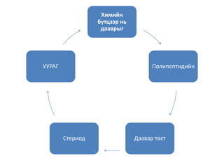Химийн
бүтцээр нь
дааврыг
Полипептидийн
Даавар төстСтериод
УУРАГ
 