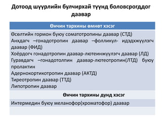 Дотоод шүүрлийн булчирхай түүнд боловсрогддог
даавар
Өнчин тархины өмнөт хэсэг
Өсөлтийн гормон буюу соматотропины даавар (СТД)
Анхдагч –гонадотропин даавар –фолликул- идэдхжүүлэгч
даавар (ФИД)
Хоёрдогч гонадотропин даавар-лютеинжүүлэгч даавар (ЛД)
Гуравдагч –гонадотолпин даавар-лютеотропин(ЛТД) буюу
пролактин
Адернокортикотропин даавар (АКТД)
Тиреотропин даавар (ТТД)
Липотропин даавар
Өнчин тархины дунд хэсэг
Интермедин буюу меланофор(хроматофор) даавар
 