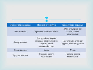 
Экологийн давхраа

Нөөцийн төрлүүд

Кадастрын төрлүүд

Амь мандал

Ургамал. Амьтны аймаг

Ойн агнуурын аж
ахуйн, аялал
жуучлалын

Агаар мандал

Цаг уур (цаг уурын
нөхцөл, жишээлбэл эх
газрын, далай
тэнгисийн г.м)

Цаг уурын: агро цаг
уурын, био цаг уурын

Усан мандал

Усны

Усны

Чулуун мандал

Газрын, ашигт
малтмалын

Газрын, ашигт
малтмалын

 
