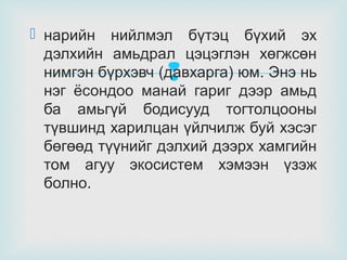  нарийн нийлмэл бүтэц бүхий эх
дэлхийн амьдрал цэцэглэн хөгжсөн
нимгэн бүрхэвч (давхарга) юм. Энэ нь
нэг ёсондоо манай гариг дээр амьд
ба амьгүй бодисууд тогтолцооны
түвшинд харилцан үйлчилж буй хэсэг
бөгөөд түүнийг дэлхий дээрх хамгийн
том агуу экосистем хэмээн үзэж
болно.



 