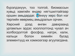 бүрэлдэхүүн, тоо толгой, биомассын
хувьд хамгийн өндөр нягтшилтайгаар
оршин амьдардаг. Ийнхүү хөрс бол нэг
төрлийн өвөрмөц амьдралын орчин.
Хөрсний
дээд
өнгөн
давхраанд
ургамлын эрдэс хооллолтонд чухал ач
холбогдолтой фосфор, натри, кали,
кальци
болон
химийн
бусад
элементүүд их хэмжээгээр агуулагдана.



 