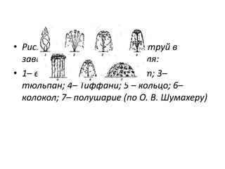 • Рис. 18. Формы фонтанных струй в
зависимости от распылителя:
• 1– вертушка; 2– рыбий хвост; 3–
тюльпан; 4– Тиффани; 5 – кольцо; 6–
колокол; 7– полушарие (по О. В. Шумахеру)

 