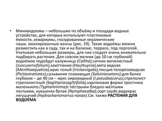 • Миниводоемы – небольшие по объёму и площади водные
устройства, для которых используют пластиковые
ёмкости, аквариумы, глазурованные керамические
чаши, эмалированные ванны (рис. 19). Такие водоёмы можно
разместить как в саду, так и на балконе, террасе, под перголой.
Учитывая небольшие размеры, для них следует очень внимательно
подбирать растения. Для совсем мелких (до 10 см глубиной)
водоёмов подойдут калужница (Caltha),ситник мечелистный
(Juncusensifolium),хаюттюния (Houttuynia),мята водная
(Menthaaquatica),ирис голый (Irislaevigata),писция телорезовидная
(Pictiastratiotes),сальвиния плавающая (Salvinianatans);для более
глубоких – до 40 см – ирис аировидный {I.pseudoacorus),стрелолист
стрелолистный {Sagittariasagittifolia),карликовая форма тростника
маленького (Typhaminima)с пёстрыми бледно-жёлтыми
листьями, кувшинка белая (Nymphaealba),сорт Layde,водокрас
лягушачий (Hydrocharismorrus-ranae).См. также РАСТЕНИЯ ДЛЯ
ВОДОЁМА

 