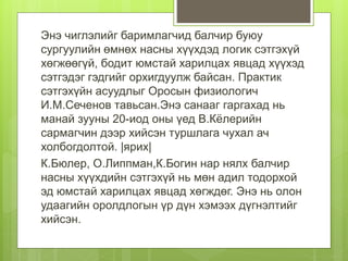 Энэ чиглэлийг баримлагчид балчир буюу
сургуулийн өмнөх насны хүүхдэд логик сэтгэхүй
хөгжөөгүй, бодит юмстай харилцах явцад хүүхэд
сэтгэдэг гэдгийг орхигдуулж байсан. Практик
сэтгэхүйн асуудлыг Оросын физиологич
И.М.Сеченов тавьсан.Энэ санааг гаргахад нь
манай зууны 20-иод оны үед В.Кёлерийн
сармагчин дээр хийсэн туршлага чухал ач
холбогдолтой. |ярих|
К.Бюлер, О.Липпман,К.Богин нар нялх балчир
насны хүүхдийн сэтгэхүй нь мөн адил тодорхой
эд юмстай харилцах явцад хөгждөг. Энэ нь олон
удаагийн оролдлогын үр дүн хэмээх дүгнэлтийг
хийсэн.
 