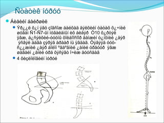 Ñòàòèê íóðóó
Áèåèéí áàéðøèë
 Ýð¿¿ë õ¿í ýãö çîãñîæ áàéõàä äýëõèéí òàòàõ õ¿÷íèé
øóãàì Ñ1-Ñ7-ûí íóãàëàìûí èõ áèåýð Ò10 õ¿ðòýë
ÿâæ, á¿ñýëõèé-óóöíû õîëáîîñîîð äàìæèí ò¿íõíèé ¿åýð
ýñâýë áàãà çýðýã àðààð íü ÿâäàã. Òýãýýä óóöñ¿¿æíèé ¿åýð áîëîí ºâäºãíèé ¿åíèé óðäóóð ÿâæ
øàãàéí ¿åíèé óðä õýñýãò î÷èæ äóóñäàã
 4 ôèçèîëîãèéí ìóðóé

 