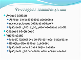 Ýì÷èëãýýíèé äàñãàëûí ¿å øàò
Ãýäèéõ äàñãàë
Äèñêèéí äîòîîä äàðàëòûã áóóðóóëíà
nucleus pulposus óðàãøàà øèëæèíý
Ìýäðýëèéí ¸çîîðûí á¿ðõ¿¿ëèéí òàòàãäàë áóóðíà

Õýâëèéä èâýýñ õèéõ
Ýñðýã çààëò
Íóðóóíû íóãàëàì õýò èõ õºäºëãººíòýé, òîãòâîðã¿é
Èõ õýìæýýíèé äèñêèéí ö¿ëõèéëò
Ìýäðýëèéí øèíæ 2 òàëä èëýð÷ áàéãàà
Ìýäðýëèéí ¸çîîð òàòàãäëûí øèíæ èõñýæ áàéãàà

 