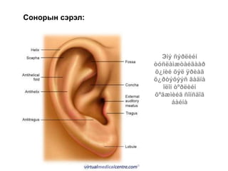 Эíý ñýðëèéí
òóñëàìæòàéãààð
õ¿íèé õýë ÿðèàã
õ¿ðòýõýýñ ãàäíà
îëîí òºðëèéí
õºãæìèéã ñîíñäîã
áàéíà
Сонорын сэрэл:
 