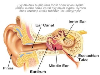 Дуу авианы өндөр нам зэрэг олон хүчин зүйлс
нэгдэн нийлж байж хүний дуу авиаг хүртэн хүлээн
авах хийсвэр шинж төлвийг нөхцөлдүүлдэг.
 