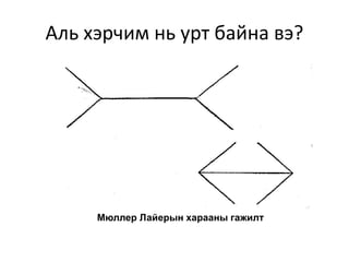 Аль хэрчим нь урт байна вэ?
Мюллер Лайерын харааны гажилт
 