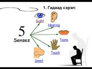 1. Гадаад сэрэл:
 