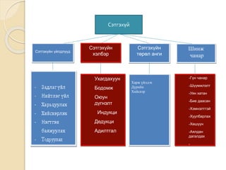 Сэтгэхүй
Ухагдахуун
Бодомж
Оюун
дүгнэлт
Индукци
Дедукци
Адилтгал
Харж үйлдэх
Дүрийн
Хийсвэр
-Гүн чанар
-Шүүмжлэлт
-Уян хатан
-Бие даасан
-Хэмнэлттэй
-Хуулбарлах
-Хөшүүн
-Аялдан
дагалдах
-
Сэтгэхүйн үйлдлүүд
Сэтгэхүйн
хэлбэр
Сэтгэхүйн
төрөл анги
Шинж
чанар
 