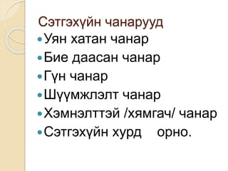 Сэтгэхүйн чанарууд
Уян хатан чанар
Бие даасан чанар
Гүн чанар
Шүүмжлэлт чанар
Хэмнэлттэй /хямгач/ чанар
Сэтгэхүйн хурд орно.
 