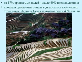 • на 17% орошаемых полей - около 40% продовольствия
• площади орошаемые земель в двух самых населенных
  стран мира Индии и Китая занимают более 40% пашни
 