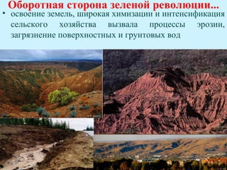 Оборотная сторона зеленой революции...
• освоение земель, широкая химизации и интенсификация
  сельского хозяйства вызвала процессы эрозии,
  загрязнение поверхностных и грунтовых вод
 