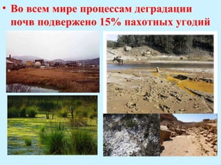 • Во всем мире процессам деградации
  почв подвержено 15% пахотных угодий
 