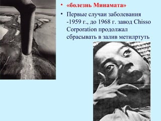 • «болезнь Минамата»
• Первые случаи заболевания
  -1959 г., до 1968 г. завод Chisso
  Corporation продолжал
  сбрасывать в залив метилртуть
 