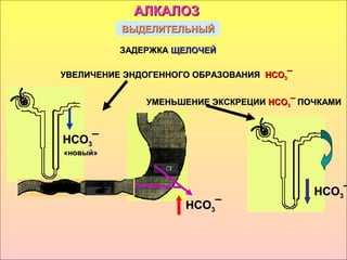ВЫДЕЛИТЕЛЬНЫЙВЫДЕЛИТЕЛЬНЫЙ
ЗАДЕРЖКАЗАДЕРЖКА ЩЕЛОЧЕЙЩЕЛОЧЕЙ
НСОНСО33¯¯
АЛКАЛОЗАЛКАЛОЗ
УВЕЛИЧЕНИЕ ЭНДОГЕННОГО ОБРАЗОВАНИЯУВЕЛИЧЕНИЕ ЭНДОГЕННОГО ОБРАЗОВАНИЯ НСОНСО33¯¯
УМЕНЬШЕНИЕ ЭКСКРЕЦИИУМЕНЬШЕНИЕ ЭКСКРЕЦИИ НСОНСО33¯¯ ПОЧКАМИПОЧКАМИ
НСОНСО33¯¯
«новый»«новый»
НСОНСО33¯¯
 