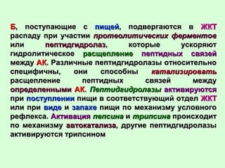 ББ, поступающие с, поступающие с пищейпищей, подвергаются в, подвергаются в ЖКТЖКТ
распаду при участиираспаду при участии протеолитических ферментовпротеолитических ферментов
илиили пептидгидролазпептидгидролаз, которые ускоряют, которые ускоряют
гидролитическоегидролитическое расщеплениерасщепление пептидных связейпептидных связей
междумежду АКАК. Различные пептидгидролазы относительно. Различные пептидгидролазы относительно
специфичны, они способныспецифичны, они способны катализироватькатализировать
расщепление пептидных связей междурасщепление пептидных связей между
определеннымиопределенными АКАК.. ПептидгидролазыПептидгидролазы активируютсяактивируются
припри поступлениипоступлении пищи в соответствующий отделпищи в соответствующий отдел ЖКТЖКТ
или приили при видевиде ии запахезапахе пищи по механизму условногопищи по механизму условного
рефлекса.рефлекса. АктивацияАктивация пепсинапепсина ии трипсинатрипсина происходитпроисходит
по механизмупо механизму автокатализаавтокатализа, другие пептидгидролазы, другие пептидгидролазы
активируются трипсиномактивируются трипсином
 