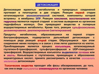 ДЕТОКСИКАЦИЯДЕТОКСИКАЦИЯ
Детоксикация ядовитых метаболитов и чужеродных соединенийДетоксикация ядовитых метаболитов и чужеродных соединений
протекает в гепатоцитах в две стадии. Реакциипротекает в гепатоцитах в две стадии. Реакции первойпервой стадиистадии
катализируютсякатализируются монооксигеназноймонооксигеназной системой, компоненты которойсистемой, компоненты которой
встроены в мембранывстроены в мембраны ЭПРЭПР. Реакции. Реакции окисленияокисления,, восстановлениявосстановления илиили
гидролизагидролиза являются первой стадией в системе выведения из организмаявляются первой стадией в системе выведения из организма
гидрофобных молекул. Они превращают вещества в полярныегидрофобных молекул. Они превращают вещества в полярные
водорастворимые метаболиты.водорастворимые метаболиты. Кроме того, реакцииКроме того, реакции сульфоокислениясульфоокисления,,
дезаминированиядезаминирования,, деалкилированиядеалкилирования ((метилированияметилирования))
Продукты метаболизма, образовавшиеся на первой стадииПродукты метаболизма, образовавшиеся на первой стадии
биотрансформации, подвергаются дальнейшей детоксикации сбиотрансформации, подвергаются дальнейшей детоксикации с
помощью ряда реакцийпомощью ряда реакций второйвторой стадии. Образующиеся при этомстадии. Образующиеся при этом
соединения менее полярны и в связи с этим легко удаляются из клеток.соединения менее полярны и в связи с этим легко удаляются из клеток.
Преобладающим является процессПреобладающим является процесс конъюгацииконъюгации, катализируемый, катализируемый
глутатион-S-трансферазой, сульфотрансферазой и UDP-глюкуронил-глутатион-S-трансферазой, сульфотрансферазой и UDP-глюкуронил-
трансферазой. Водорастворимые конъюгатытрансферазой. Водорастворимые конъюгаты выделяютсявыделяются почкамипочками илиили
вв желчьжелчь.. Конъюгацию с глутатионом, приводящую к образованиюКонъюгацию с глутатионом, приводящую к образованию
меркаптуровых кислот, принято рассматривать в качествемеркаптуровых кислот, принято рассматривать в качестве основногоосновного
механизмамеханизма детоксикациидетоксикации
Токсические веществаТоксические вещества проходят обе фазы обезвреживания, до того,проходят обе фазы обезвреживания, до того,
как они в видекак они в виде конъюгатовконъюгатов элиминируютсяэлиминируются из организма человекаиз организма человека
 