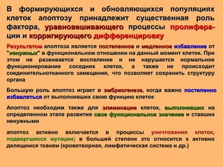 Лекция 4, Апоптоз | PPT