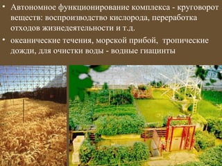 • Автономное функционирование комплекса - круговорот
  веществ: воспроизводство кислорода, переработка
  отходов жизнедеятельности и т.д.
• океанические течения, морской прибой, тропические
  дожди, для очистки воды - водные гиацинты
 