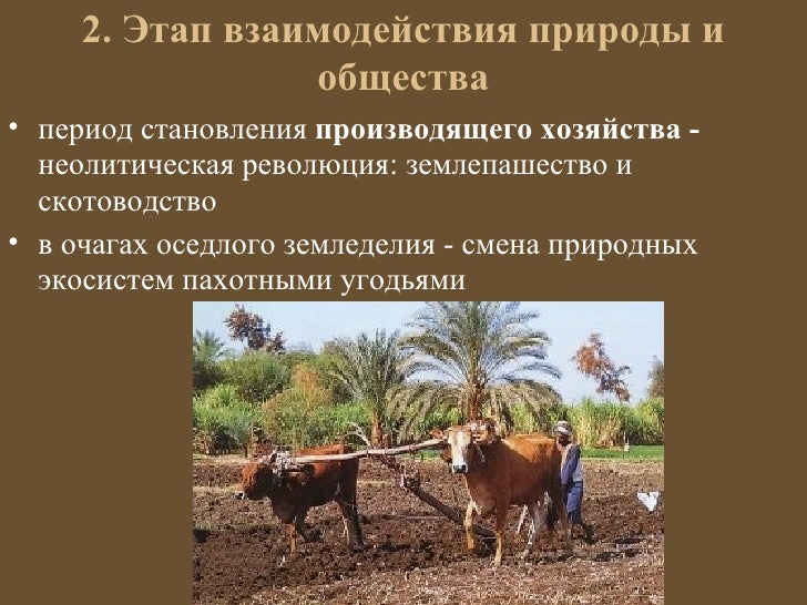 Влияние кочевого скотоводства на экосистему. Влияние кочевого скотоводства на экосистему. Причины появления кочевого скотоводства. Появлению кочевого скотоводства способствовало:. Влияние кочевого скотоводства на экосистему.