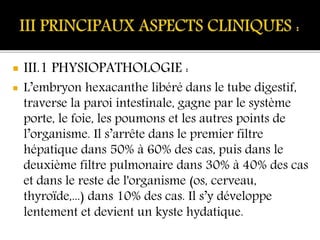  III.1 PHYSIOPATHOLOGIE :
 L’embryon hexacanthe libéré dans le tube digestif,
traverse la paroi intestinale, gagne par le système
porte, le foie, les poumons et les autres points de
l’organisme. Il s’arrête dans le premier filtre
hépatique dans 50% à 60% des cas, puis dans le
deuxième filtre pulmonaire dans 30% à 40% des cas
et dans le reste de l'organisme (os, cerveau,
thyroïde,...) dans 10% des cas. Il s’y développe
lentement et devient un kyste hydatique.
 
